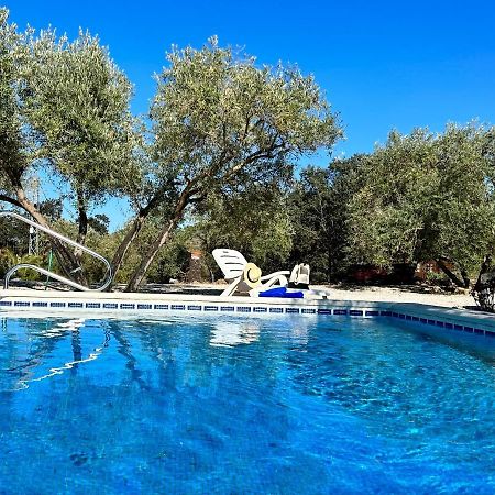 Refugio Andaluz Con Piscina Entre Olivos Villanueva de Tapia ภายนอก รูปภาพ