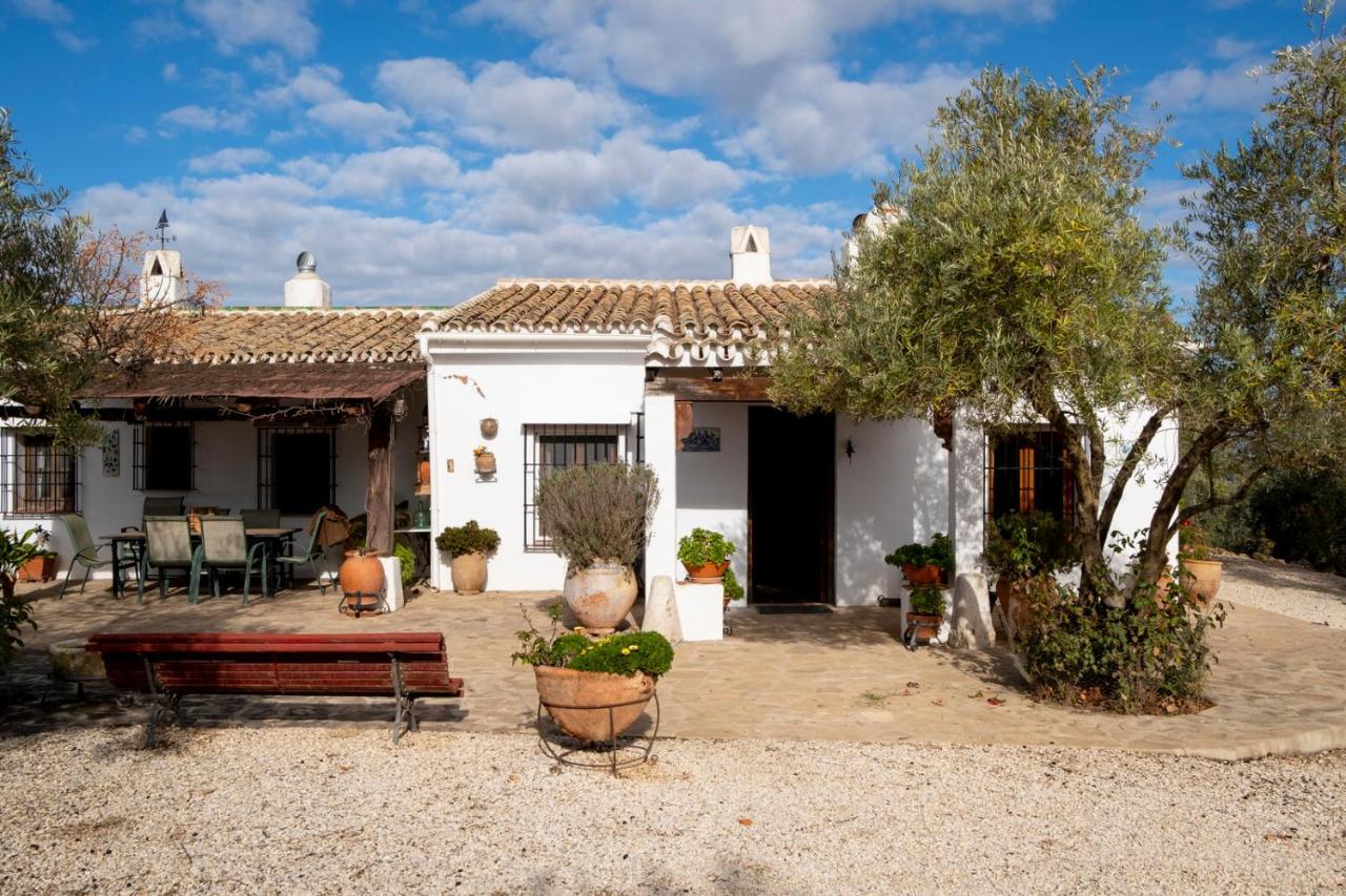 Refugio Andaluz Con Piscina Entre Olivos Villanueva de Tapia ภายนอก รูปภาพ