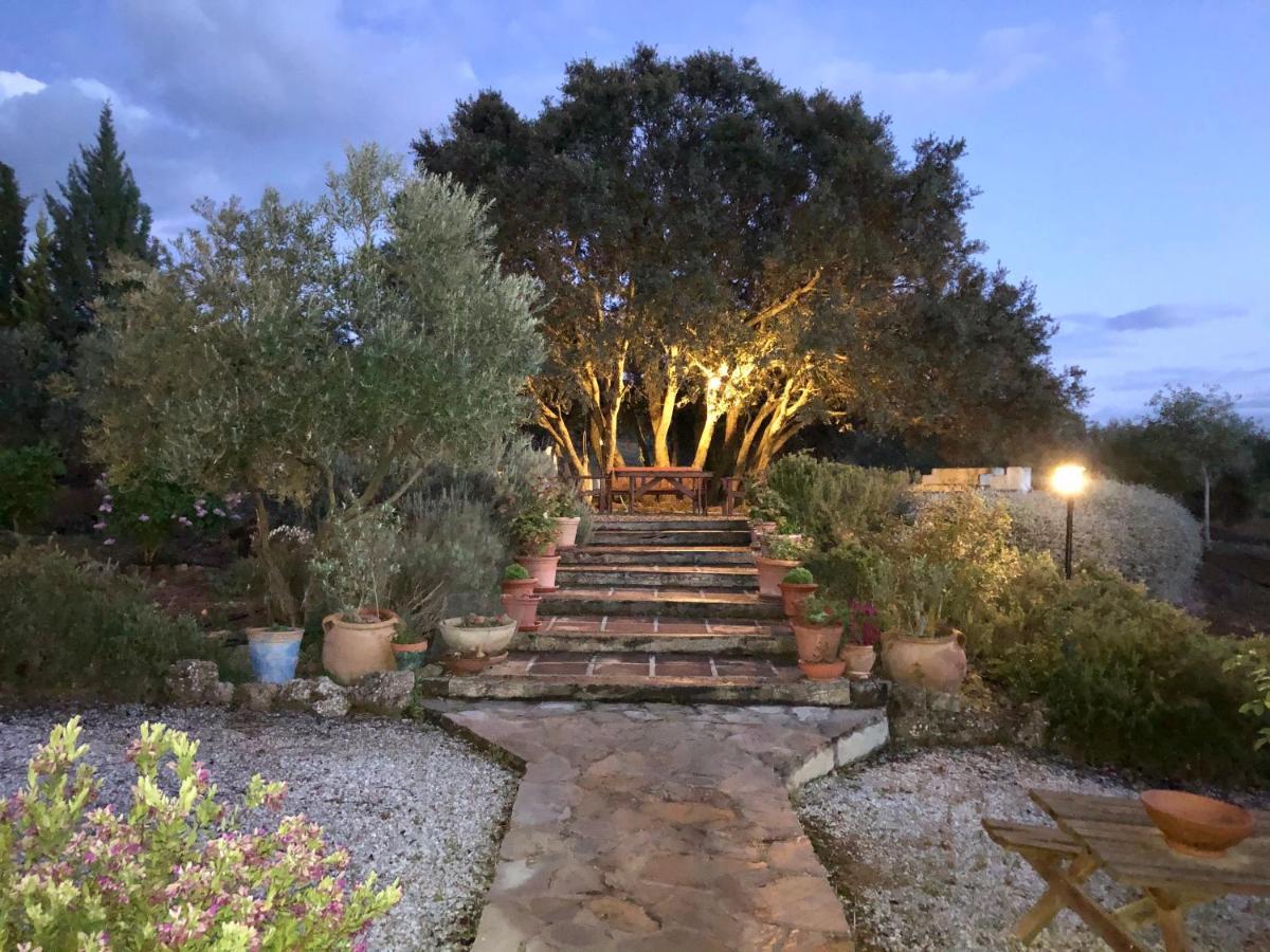 Refugio Andaluz Con Piscina Entre Olivos Villanueva de Tapia ภายนอก รูปภาพ