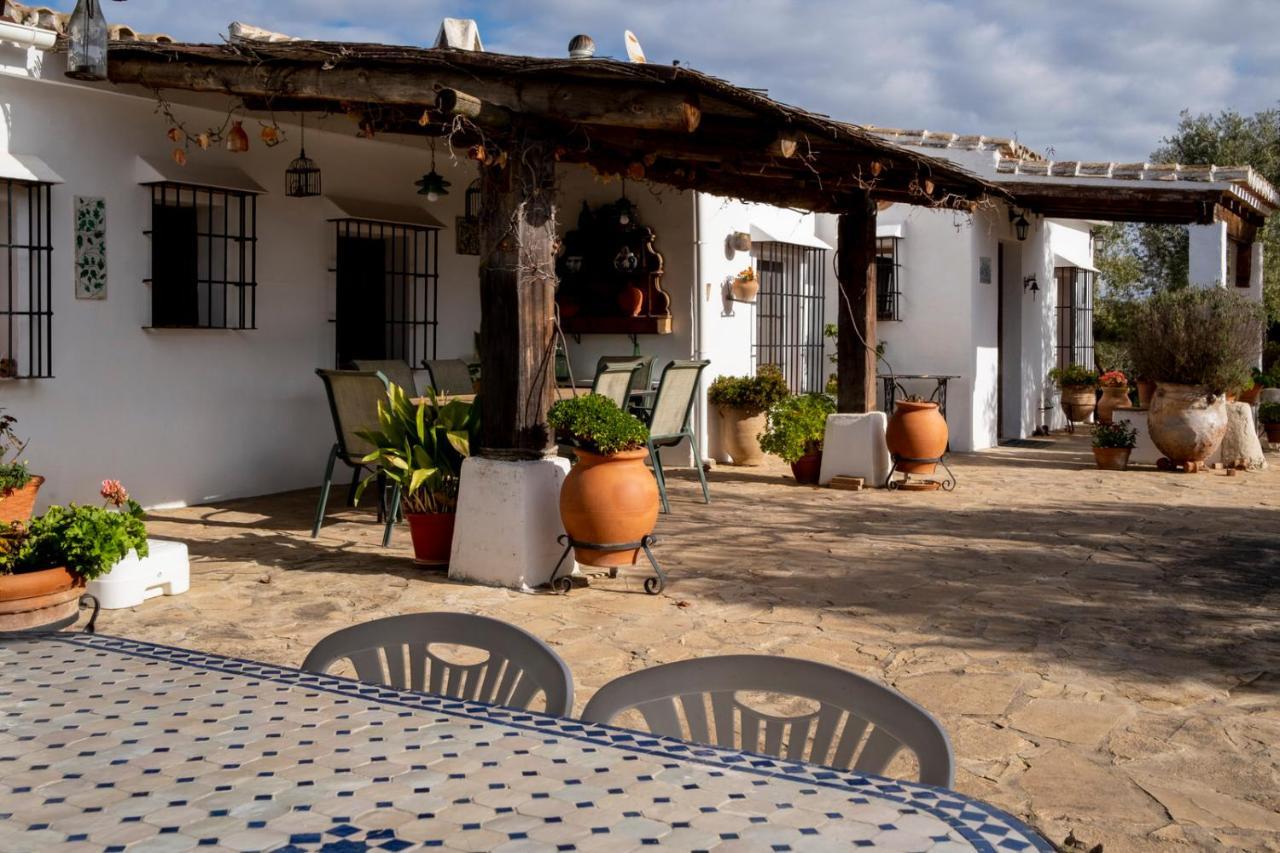 Refugio Andaluz Con Piscina Entre Olivos Villanueva de Tapia ภายนอก รูปภาพ