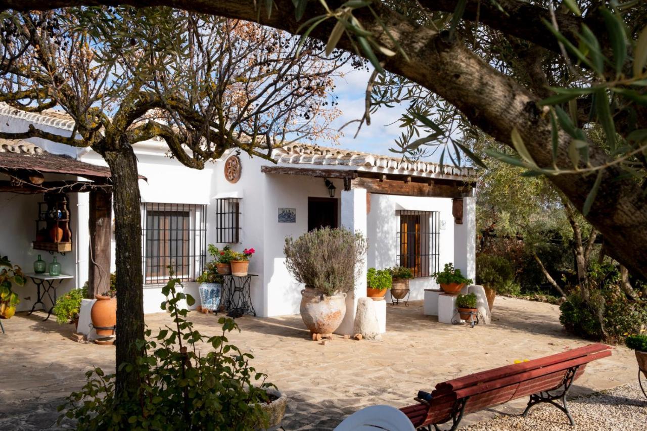 Refugio Andaluz Con Piscina Entre Olivos Villanueva de Tapia ภายนอก รูปภาพ