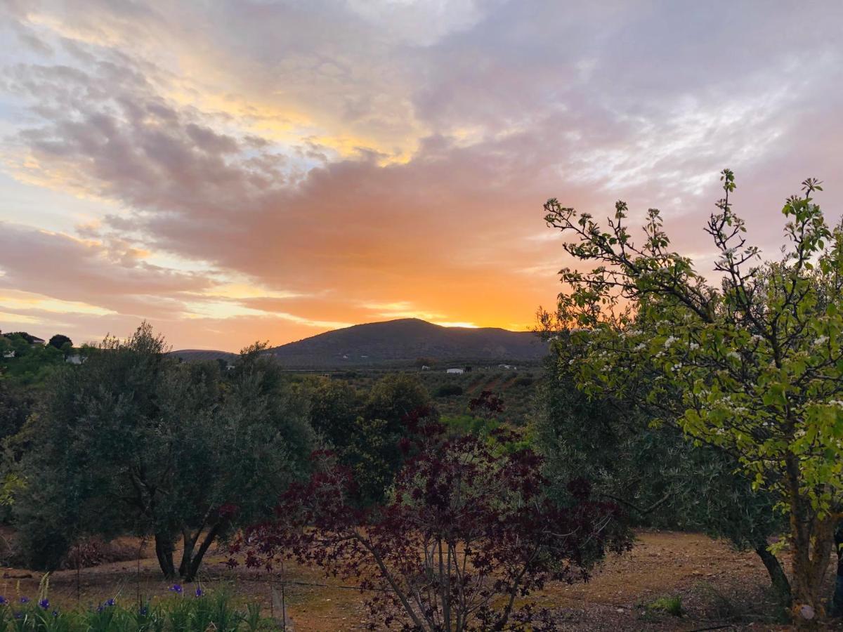 Refugio Andaluz Con Piscina Entre Olivos Villanueva de Tapia ภายนอก รูปภาพ