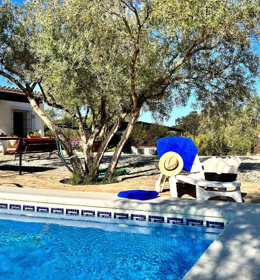 Refugio Andaluz Con Piscina Entre Olivos Villanueva de Tapia ภายนอก รูปภาพ