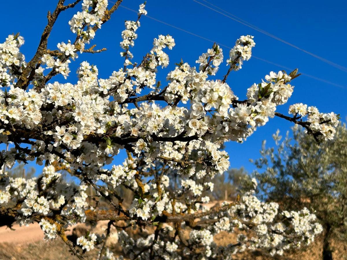 Refugio Andaluz Con Piscina Entre Olivos Villanueva de Tapia ภายนอก รูปภาพ
