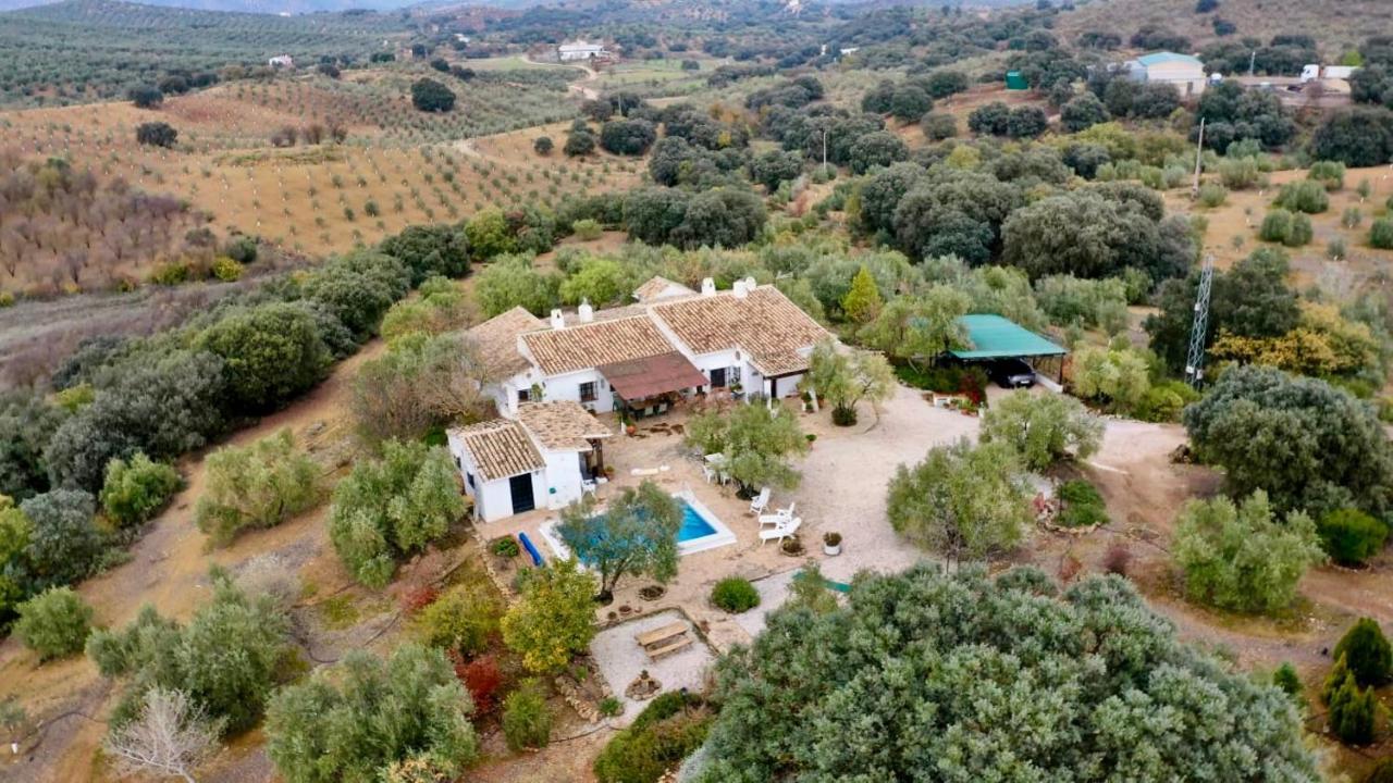 Refugio Andaluz Con Piscina Entre Olivos Villanueva de Tapia ภายนอก รูปภาพ
