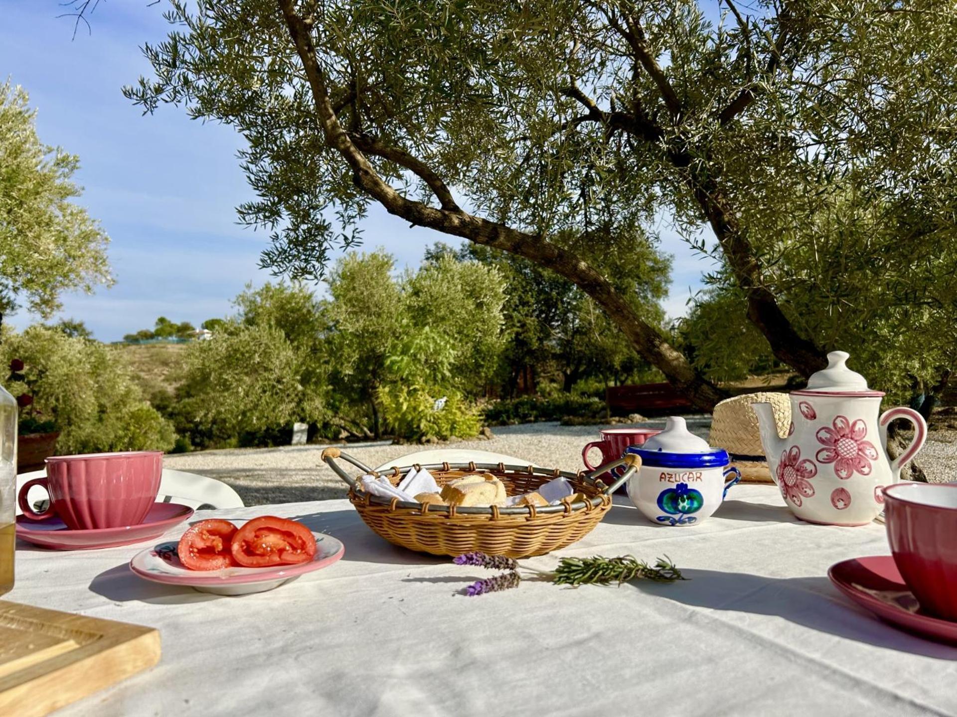 Refugio Andaluz Con Piscina Entre Olivos Villanueva de Tapia ภายนอก รูปภาพ